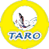 Taro